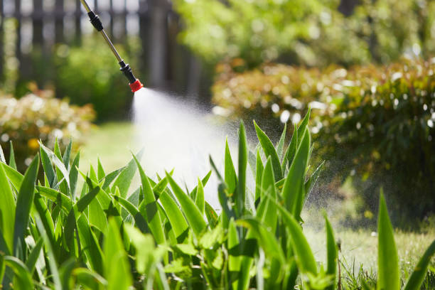Void Injection for Cockroach Colonies in World Golf Village
