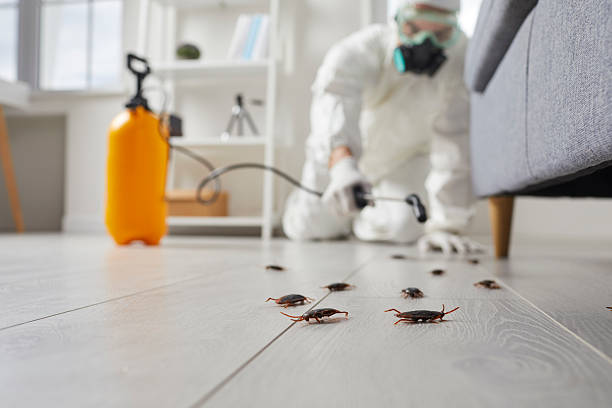 Commercial Kitchen Cockroach Control in World Golf Village